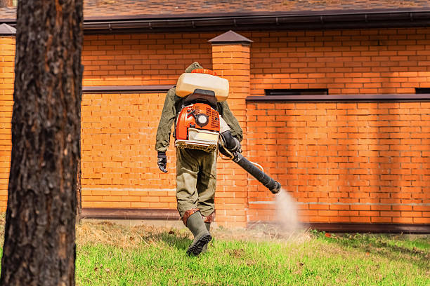 Trusted Mosquito Control service in Lincolndale, NY - Nex Pest Control